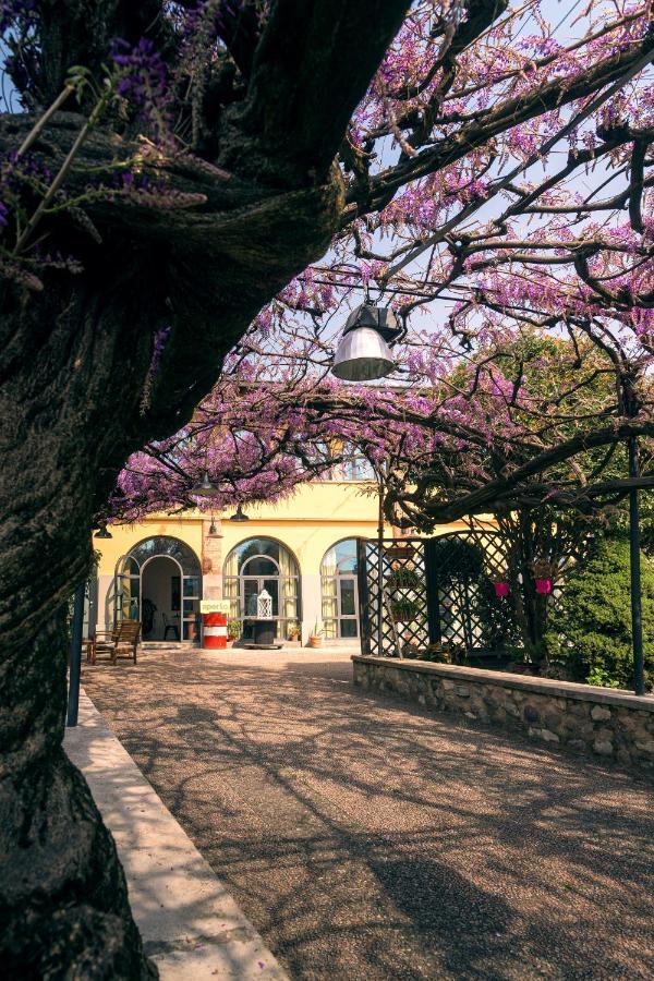 Il Glicine B&B Ristorante 카자고 산 마르티노 외부 사진