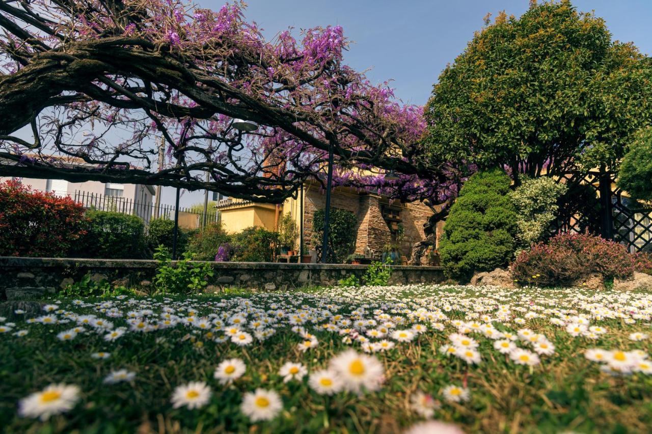 Il Glicine B&B Ristorante 카자고 산 마르티노 외부 사진