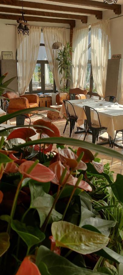 Il Glicine B&B Ristorante 카자고 산 마르티노 외부 사진